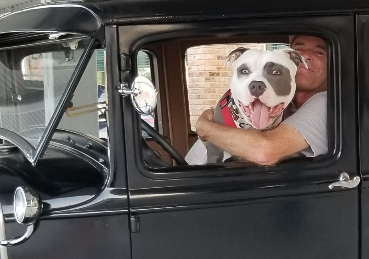Owner-dog selfies: Macho riding in my dad's 1930 Model A
